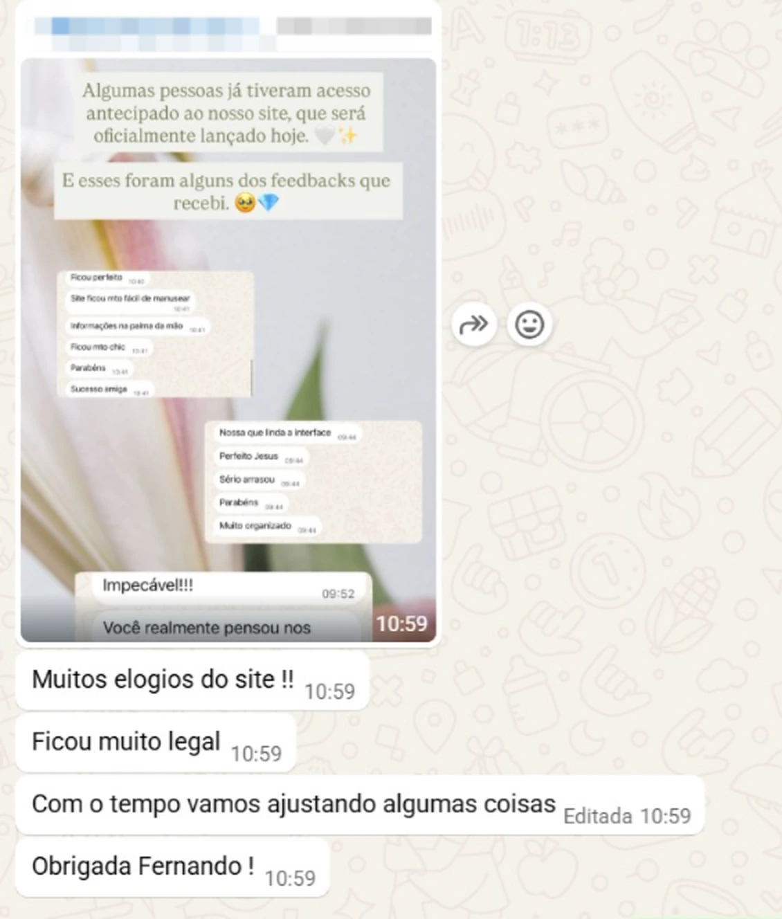 Print de WhatsApp. A cliente encaminha um story que diz: “Algumas pessoas já tiveram acesso antecipado ao nosso site, que será oficialmente lançado hoje. E esses foram alguns dos feedbacks que recebi”, com mensagens como “Ficou perfeito”, “Site ficou muito fácil de manusear”, “Ficou muito chic”, “Nossa, que linda a interface”, “Muito organizado” e “Impecável!”. Em seguida, escreve: “Muitos elogios do site!! Ficou muito legal. Com o tempo vamos ajustando algumas coisas. Obrigada, Fernando!”